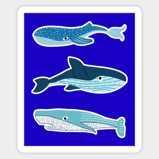 Three Whales Sticker